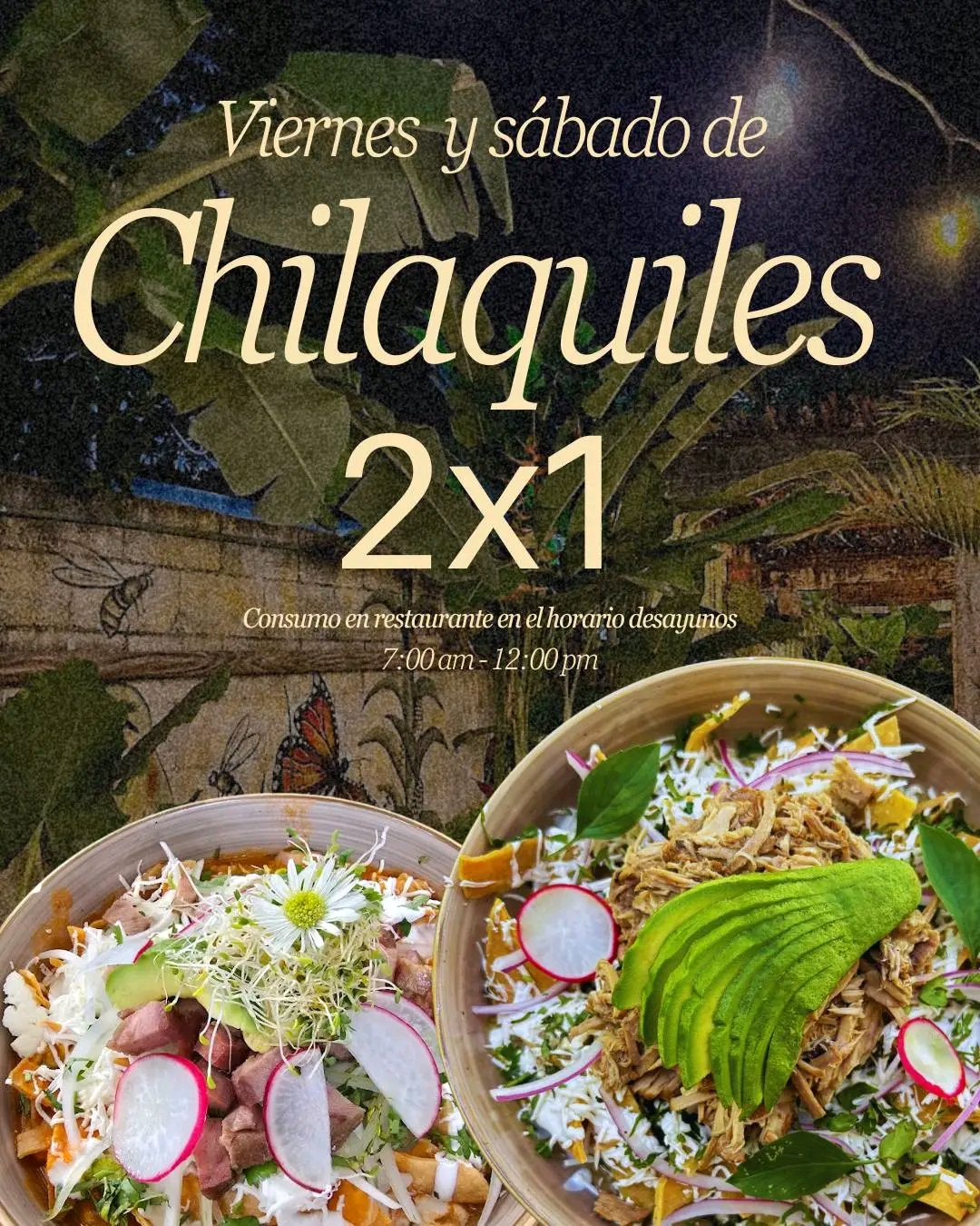 Promo Cochinita Pibil + Sopa de Lima