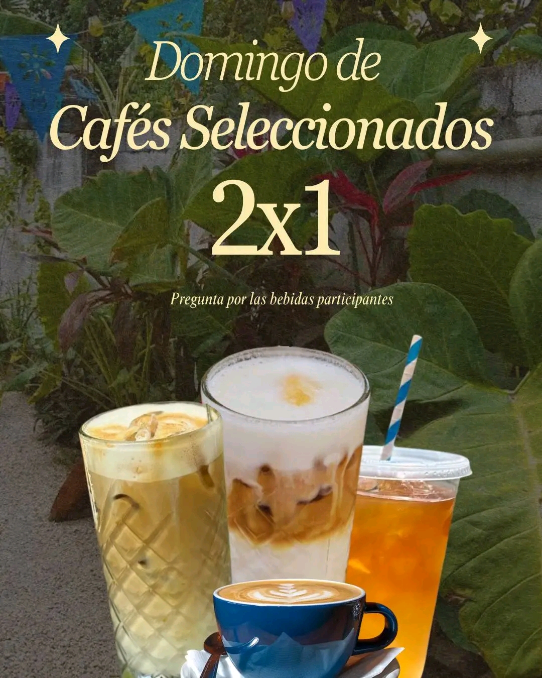 Promo Cochinita Pibil + Sopa de Lima